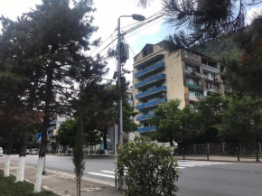 Apartment for sale in Borjomi